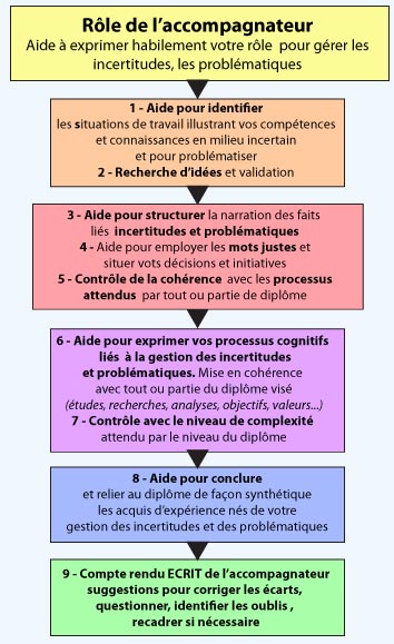 arborescence