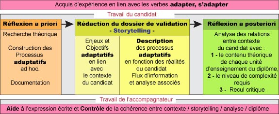 arborescence