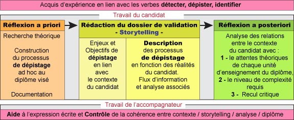 arborescence