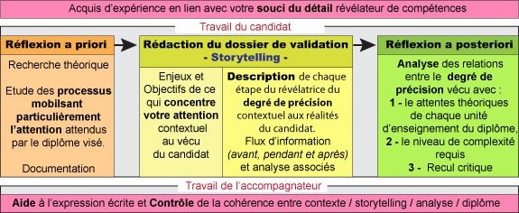 arborescence