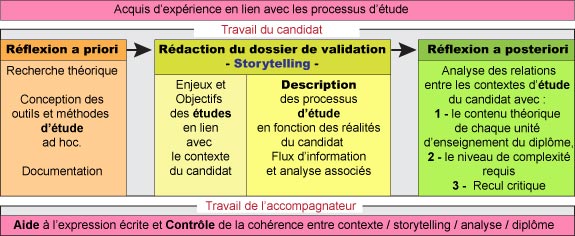 arborescence