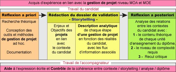 arborescence