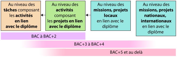 schema-competences