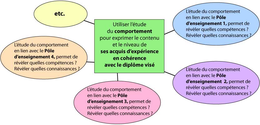 schema-comportement